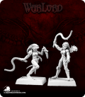 Warlord: Overlords - Daughter of the Whip Adept Box Set